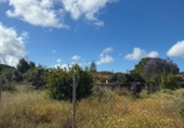 Sòl urbà en venda a la España, Chiclana de la Frontera, ref.: TR413625 foto