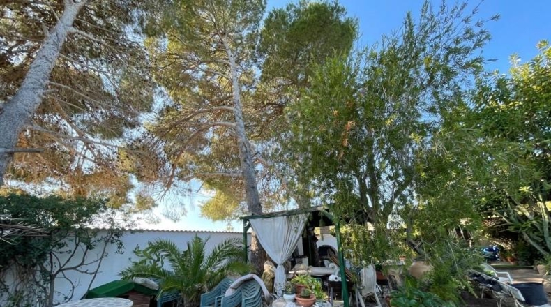 Alicante - Orihuela - 1250m2