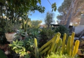 Chalet independiente con terreno en venta en la España, Orihuela, ref: TR413627 foto