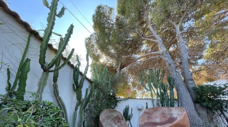Alicante - Orihuela - 1250m2