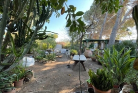 Orihuela 1250&nbsp;m²