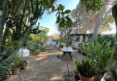 Chalet independiente con terreno en venta en la España, Orihuela, ref: TR413627 foto
