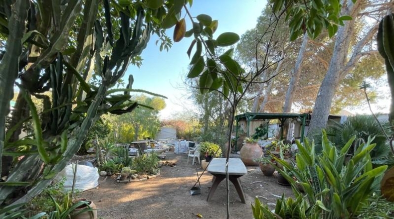 Alicante - Orihuela - 1250m2