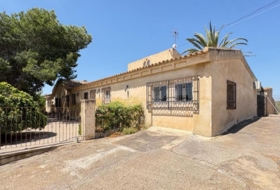 Algorfa 7000&nbsp;m²
