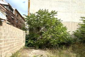 Castellón de la Plana 402&nbsp;m²