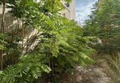 Suelo urbano en venta en la España, Castellón de la Plana, ref: TR413644 foto