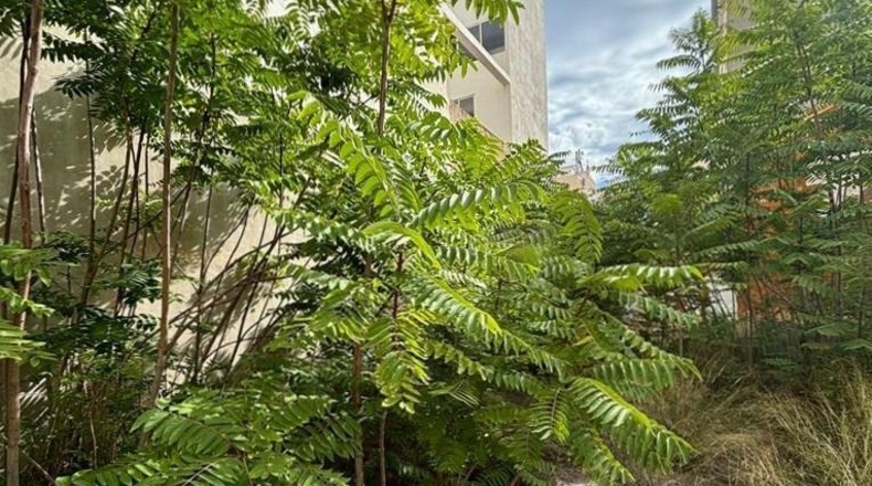 Castellón - Castelló de la Plana - 402m2