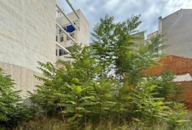 Castellón de la Plana 402&nbsp;m²