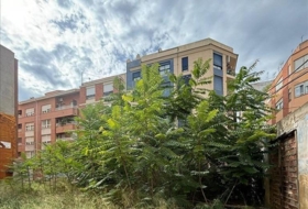 Castellón de la Plana 402&nbsp;m²
