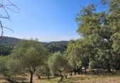 Non-developable land for sale on España, Casares, ref: TR334775 photo