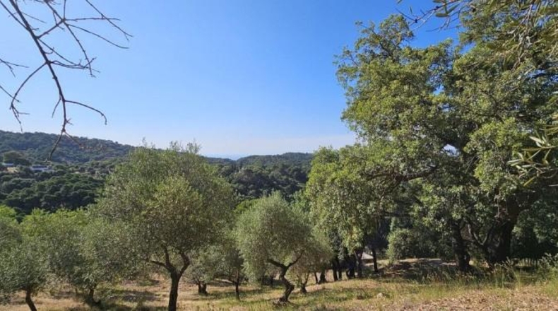 Málaga - Casares - 28000m2