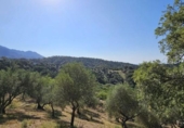 Non-developable land for sale on España, Casares, ref: TR334775 photo