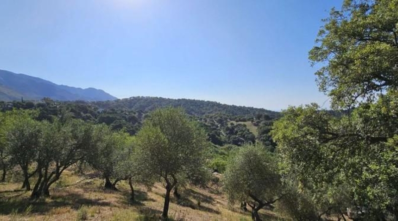Málaga - Casares - 28000m2
