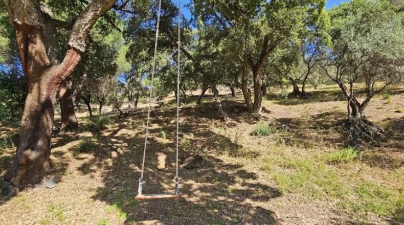 Málaga - Casares - 28000m2