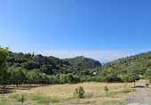 Non-developable land for sale on España, Casares, ref: TR334775 photo