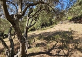 Non-developable land for sale on España, Casares, ref: TR334775 photo