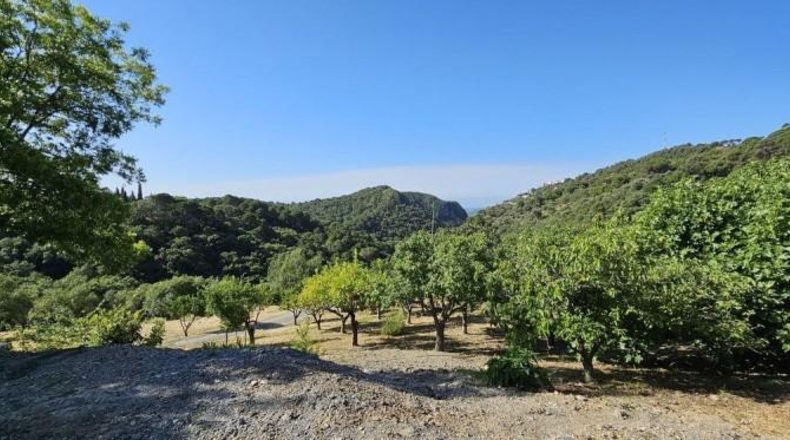 Málaga - Casares - 28000m2