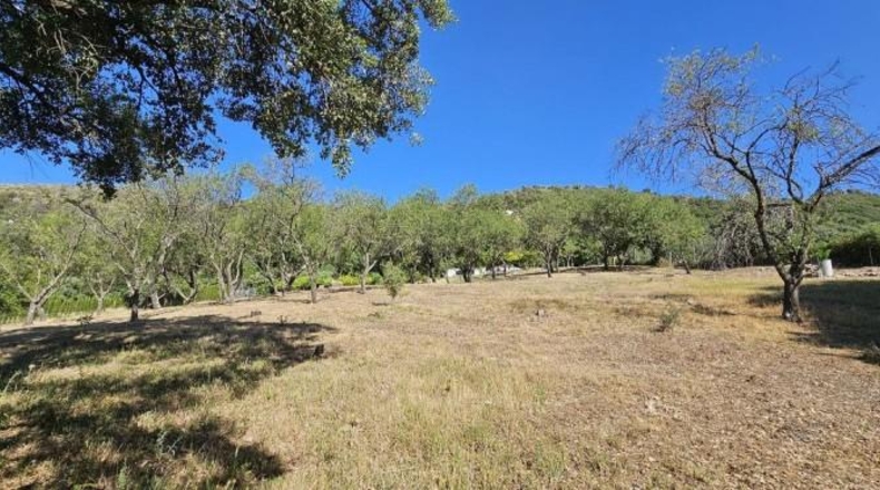 Málaga - Casares - 28000m2