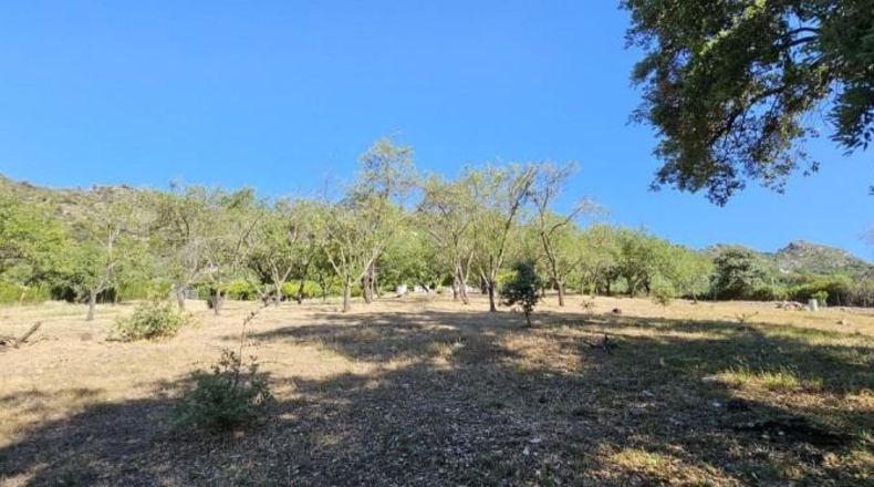 Málaga - Casares - 28000m2