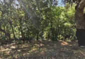 Non-developable land for sale on España, Casares, ref: TR334775 photo