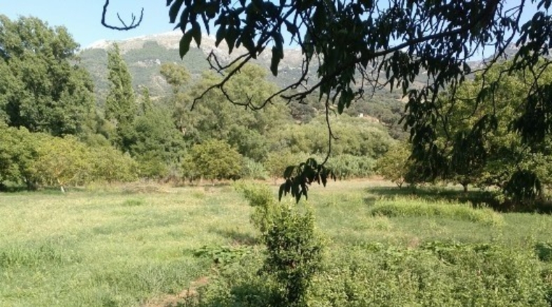 Málaga - Cortes de la Frontera - 12000m2
