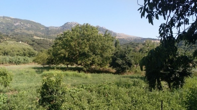 Málaga - Cortes de la Frontera - 12000m2