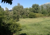 Masia with land for sale on Camino del rio, Cortes de la Frontera, ref: TR188969 photo