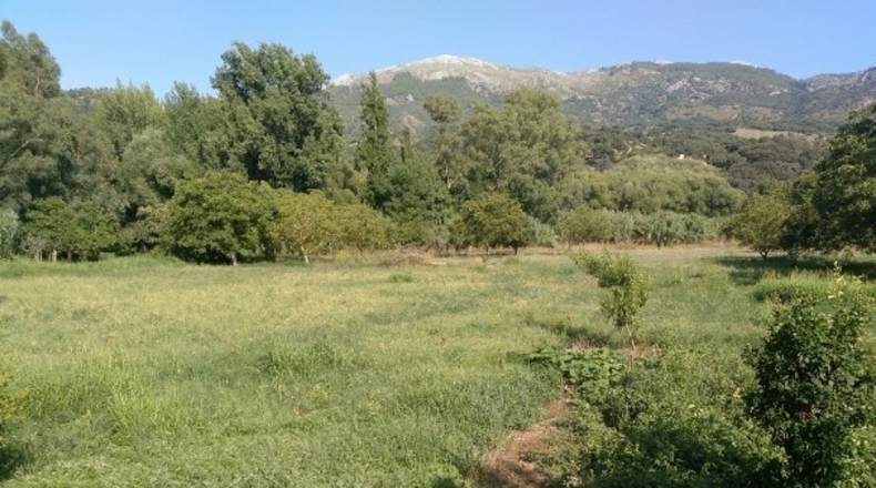 Málaga - Cortes de la Frontera - 12000m2