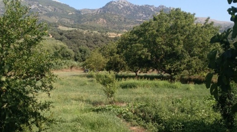 Málaga - Cortes de la Frontera - 12000m2