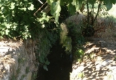 Masia with land for sale on Camino del rio, Cortes de la Frontera, ref: TR188969 photo