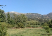 Masia with land for sale on Camino del rio, Cortes de la Frontera, ref: TR188969 photo