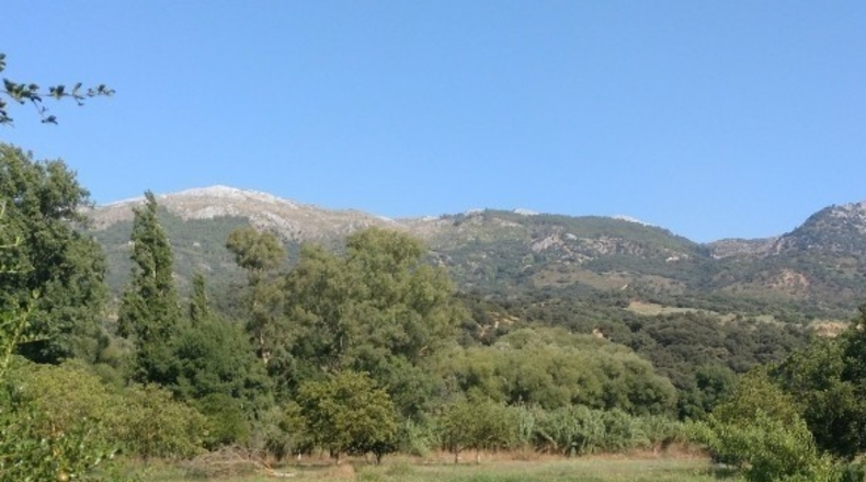 Málaga - Cortes de la Frontera - 12000m2
