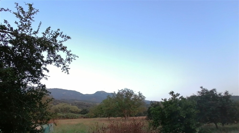 Málaga - Cortes de la Frontera - 12000m2