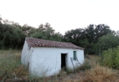 Masia with land for sale on Camino del rio, Cortes de la Frontera, ref: TR188969 photo