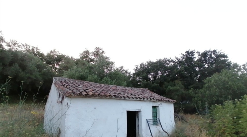 Málaga - Cortes de la Frontera - 12000m2