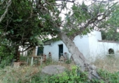 Masia with land for sale on Camino del rio, Cortes de la Frontera, ref: TR188969 photo