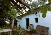 Masia with land for sale on Camino del rio, Cortes de la Frontera, ref: TR188969 photo