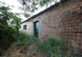 Masia with land for sale on Camino del rio, Cortes de la Frontera, ref: TR188969 photo