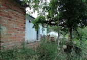 Masia with land for sale on Camino del rio, Cortes de la Frontera, ref: TR188969 photo