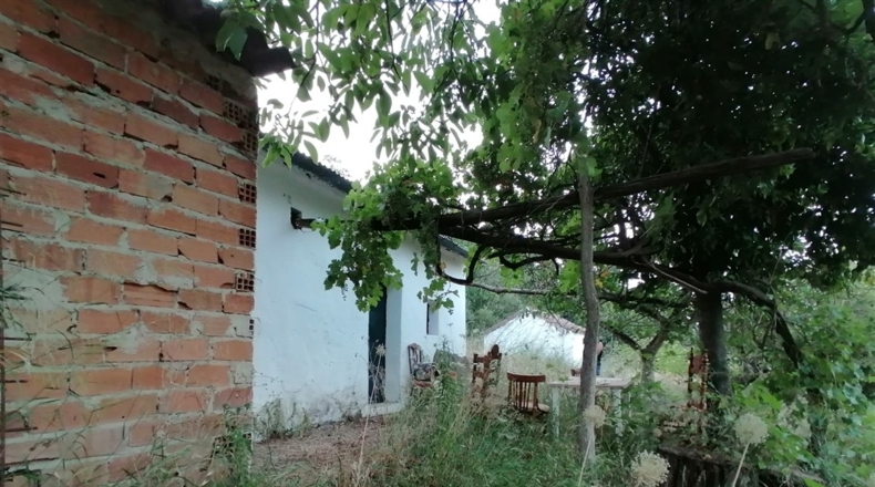 Málaga - Cortes de la Frontera - 12000m2
