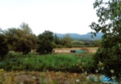 Masia with land for sale on Camino del rio, Cortes de la Frontera, ref: TR188969 photo