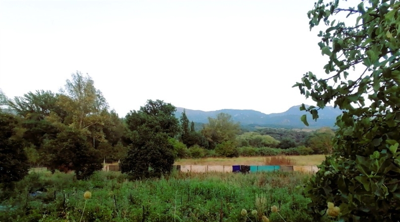 Málaga - Cortes de la Frontera - 12000m2