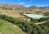 Village house for sale in Salobreña ref: TR355865 photo