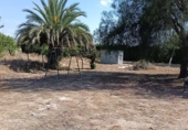 Rural estate for sale on España, Lorca, ref: TR413002 photo