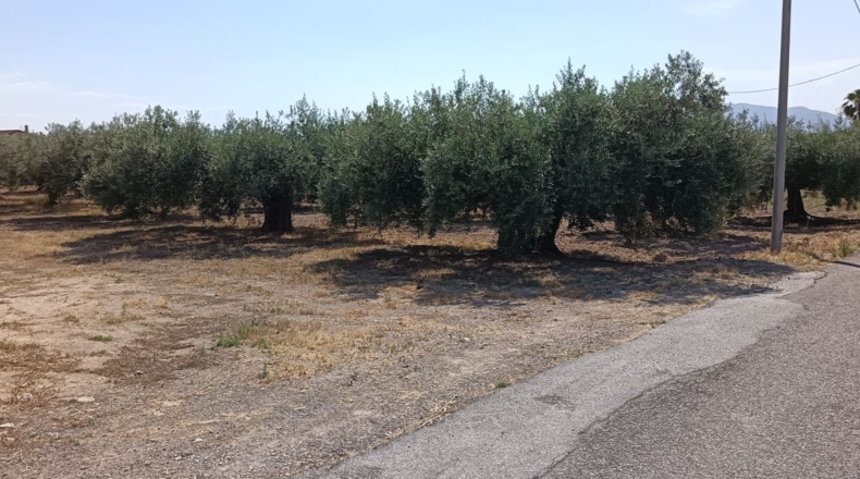 Murcia - Lorca - 4025m2