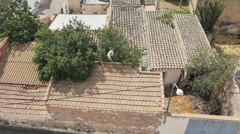 Almeria - Huércal-Overa - 381m2