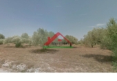Finca rústica en venta en la España, Vinaròs, ref: TR104398 foto