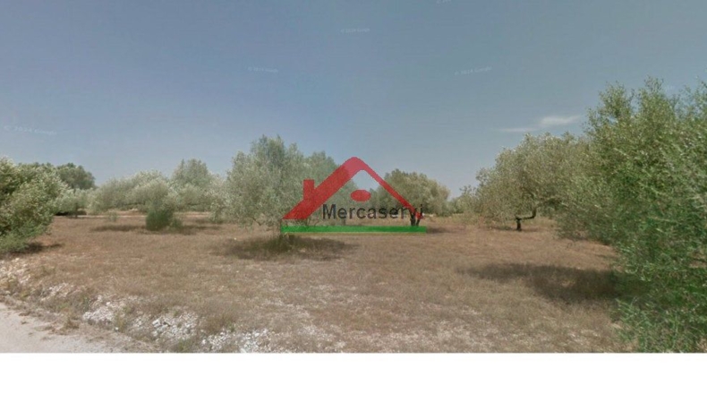 Castellón - Vinaroz - 5128m2