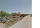 Finca rústica en venta en la España, Vinaròs, ref: TR104398 foto