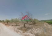Finca rústica en venta en la España, Vinaròs, ref: TR104398 foto
